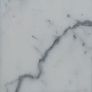 LARISSA WHITE MARBLE